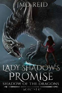 Lady Shadow's Promise (Shadow of the Dragons Book 9) by JMD Reid