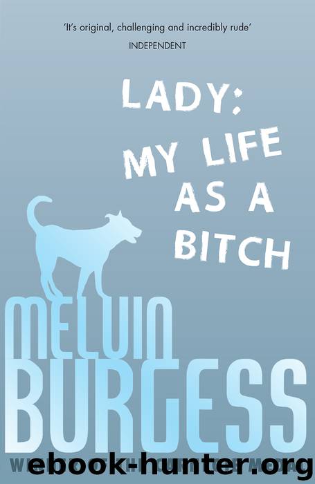 Lady by Melvin Burgess