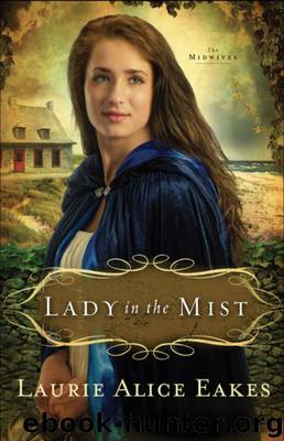 Lady in the Mist by Laurie Eakes