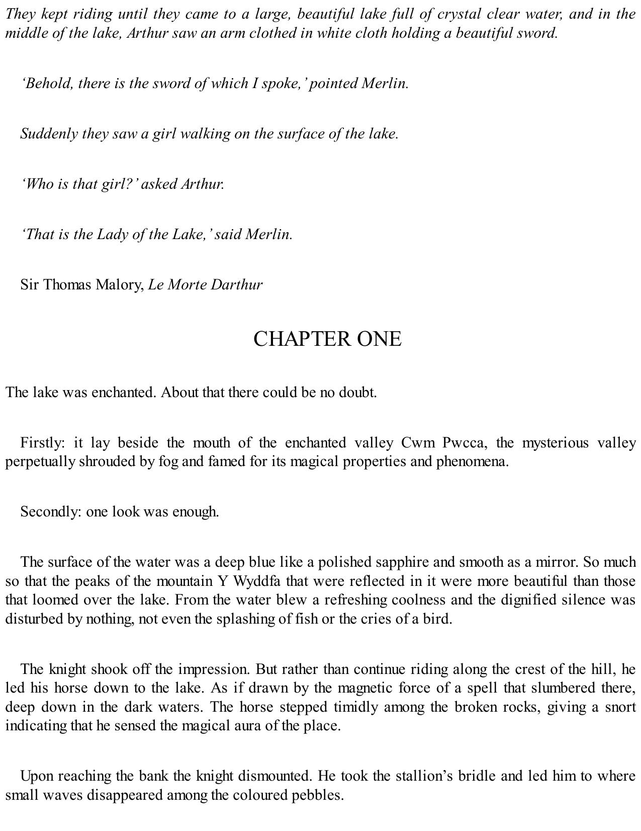 Lady of the Lake (The Witcher #7) by Unknown