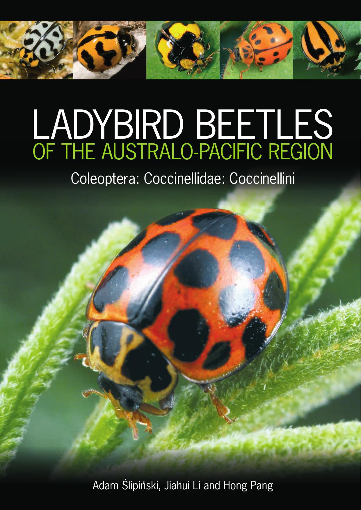 Ladybird Beetles of the Australo-Pacific Region: Coleoptera: Coccinellidae: Coccinellini by Adam Slipinski Jiahui Li Hong Pang