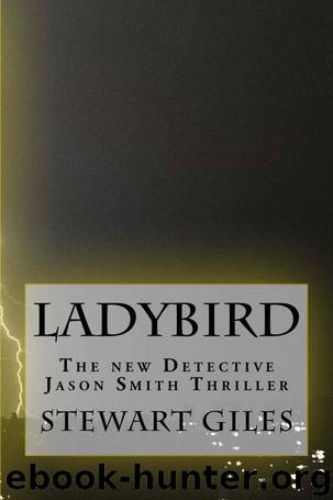 Ladybird by Stewart Giles