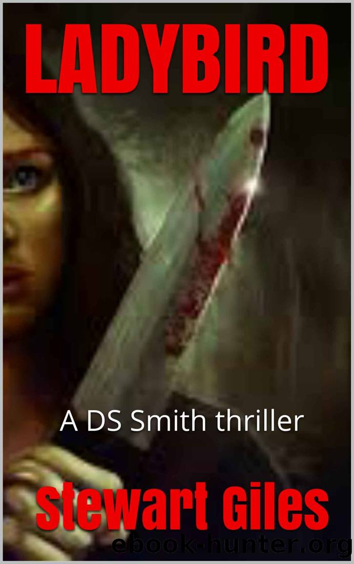 Ladybird: A DS Smith thriller (A Detective Jason Smith Thriller Book 3) by Stewart Giles