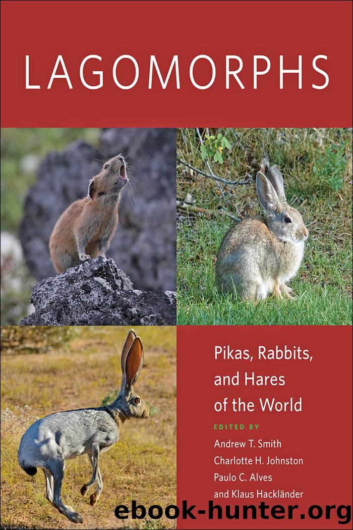 Lagomorphs by Andrew T. Smith