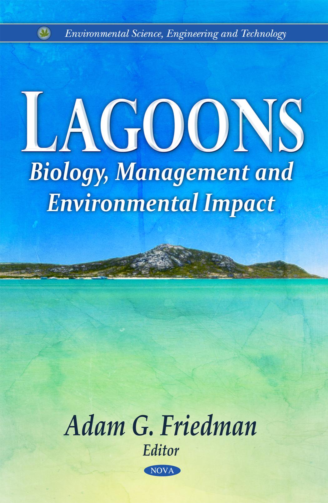 Lagoons by Friedman Adam G