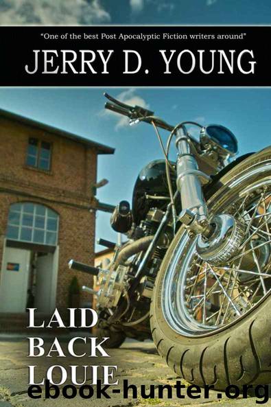 Laid Back Louie by Jerry D Young