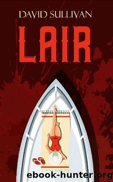 Lair by David Sullivan