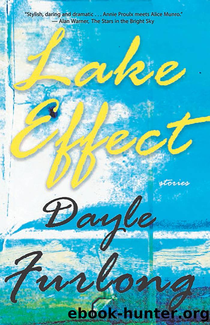 Lake Effect by Dayle Furlong