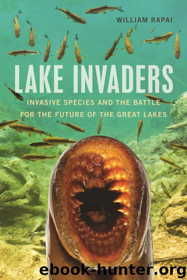 Lake Invaders by William Rapai