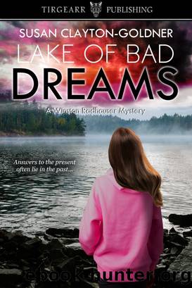 Lake of Bad Dreams by Susan Clayton-Goldner