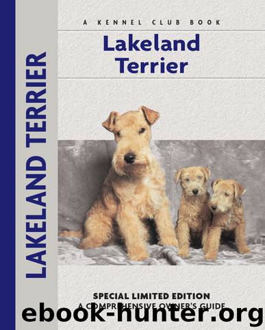 Lakeland Terrier by Patricia Peters