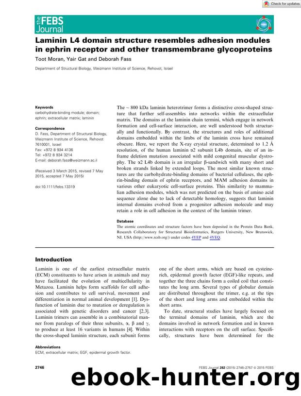 LamininÂ L4 domain structure resembles adhesion modules in ephrin receptor and other transmembrane glycoproteins by Unknown