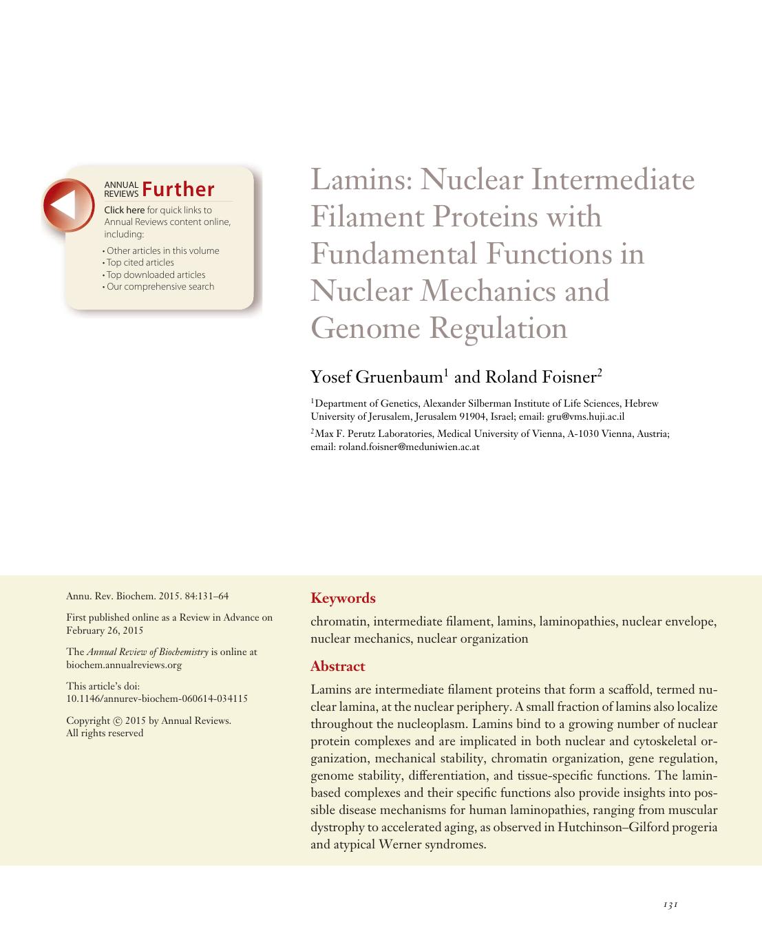Lamins: Nuclear Intermediate Filament Proteins with Fundamental Functions in Nuclear Mechanics and Genome Regulation by Yosef Gruenbaum and Roland Foisner