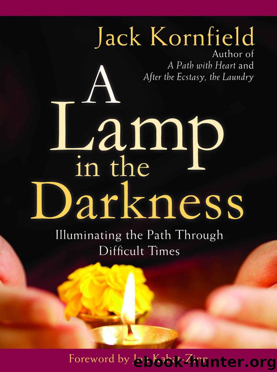 Lamp in the Darkness, A by Jack Kornfield