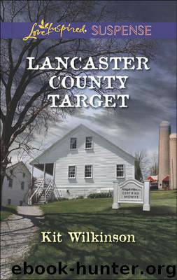 Lancaster County Target by Kit Wilkinson