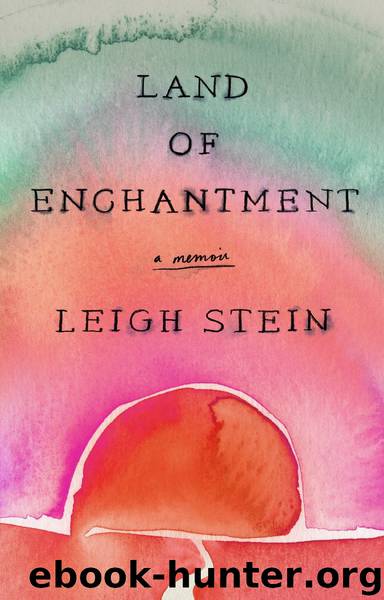 Land of Enchantment by Leigh Stein
