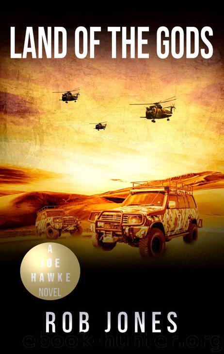 Land of the Gods (Joe Hawke Book 11) by Rob Jones