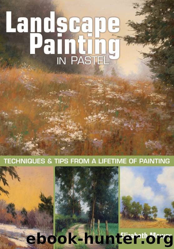 Landscape Painting in Pastel by Elizabeth Mowry