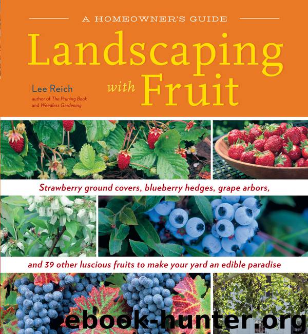 Landscaping With Fruit by Lee Reich