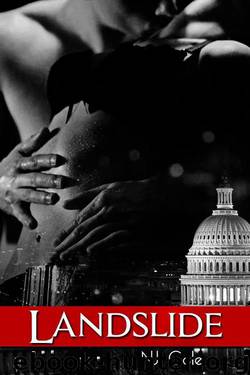 Landslide by NJ Cole