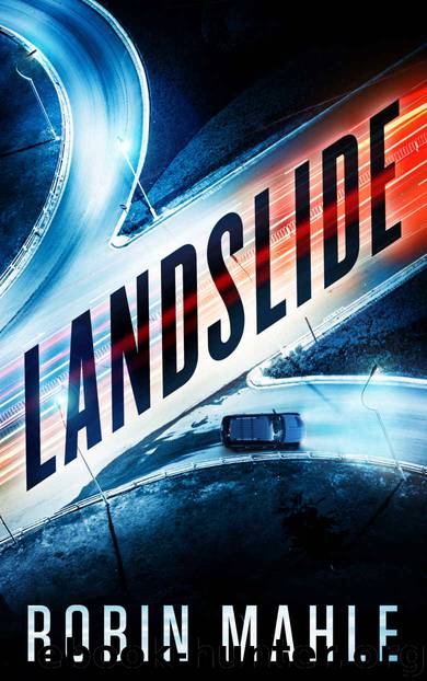 Landslide by Robin Mahle