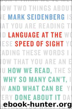 Language at the Speed of Sight: How We Read, Why So Many Can't, and What Can Be Done About It by Mark Seidenberg