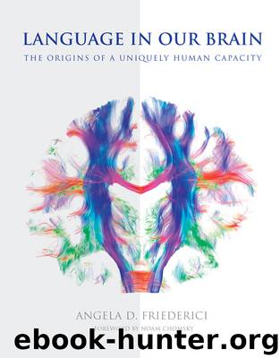 Language in Our Brain by Angela D. Friederici