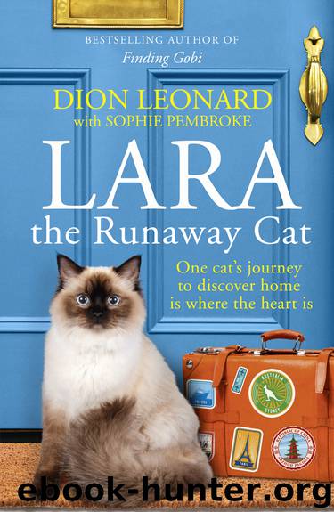 Lara the Runaway Cat by Dion Leonard