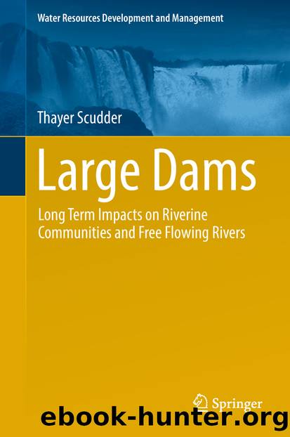 Large Dams by Thayer Scudder