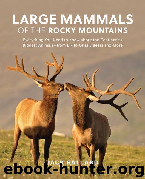 Large Mammals of the Rocky Mountains by Jack Ballard