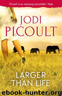 Larger Than Life (Novella) by Jodi Picoult