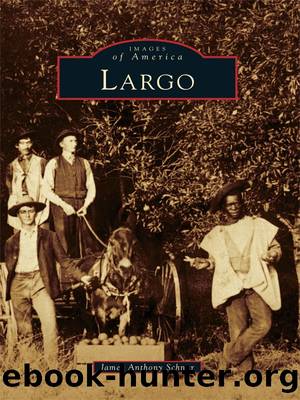 Largo by James Anthony Schnur