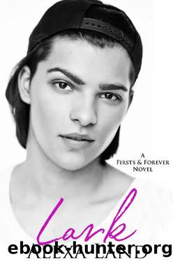 Lark (Firsts and Forever Stories Book 5) by Alexa Land