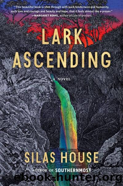 Lark Ascending by Silas House