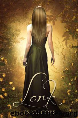 Lark by Erica Cope