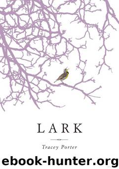 Lark by Tracey Porter