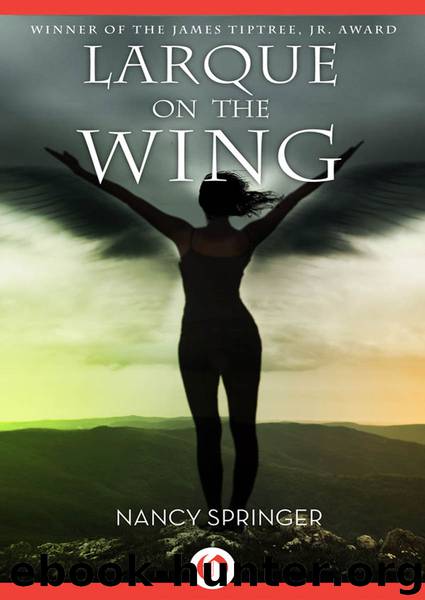 Larque on the Wing by Nancy Springer