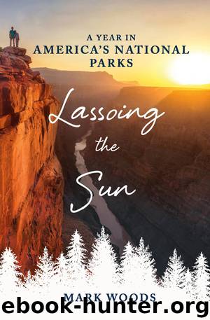 Lassoing the Sun by Mark Woods