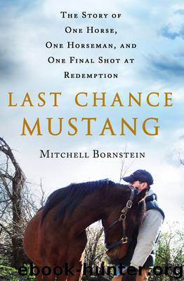 Last Chance Mustang by Mitchell Bornstein