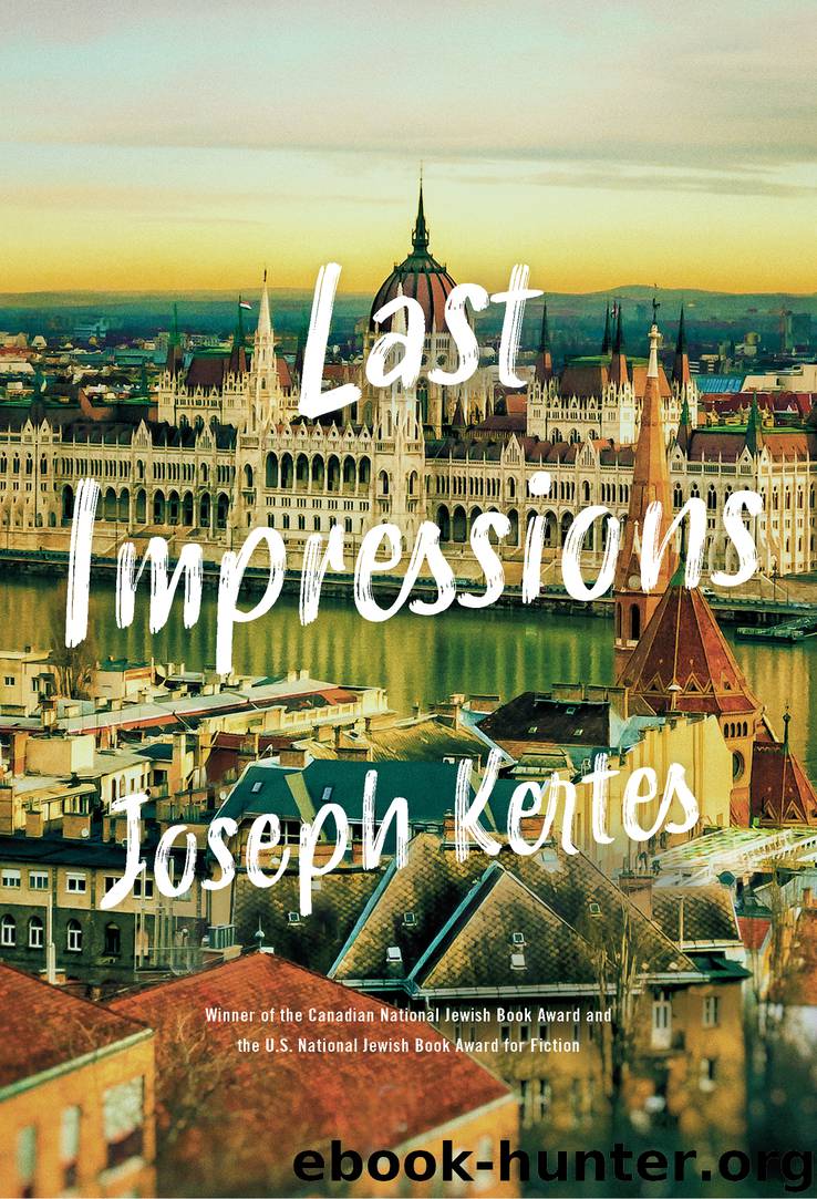 Last Impressions by Joseph Kertes