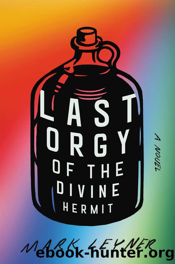 Last Orgy of the Divine Hermit by Mark Leyner