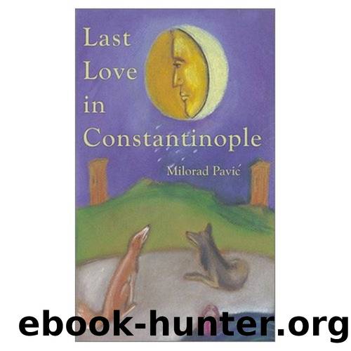 Last love in Constantinople by Pavic Milorad