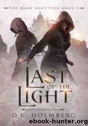 Last of the Light by D.K. Holmberg