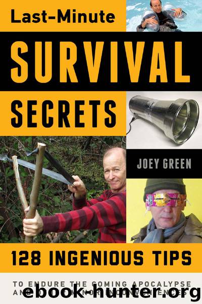 Last-Minute Survival Secrets by Joey Green