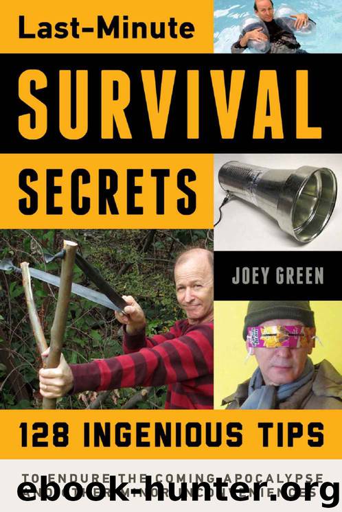 Last-Minute Survival Secrets: 128 Ingenious Tips to Endure the Coming Apocalypse and Other Minor Inconveniences by Joey Green