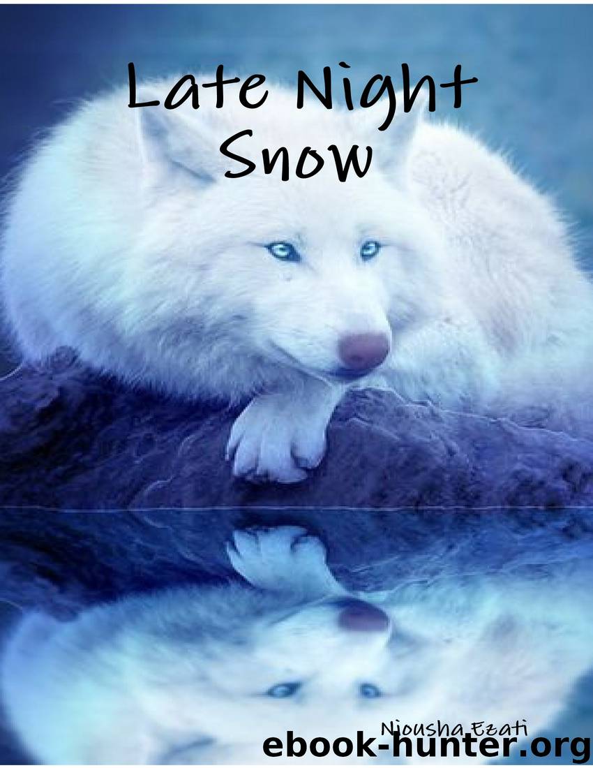Late Night Snow by niousha ezati