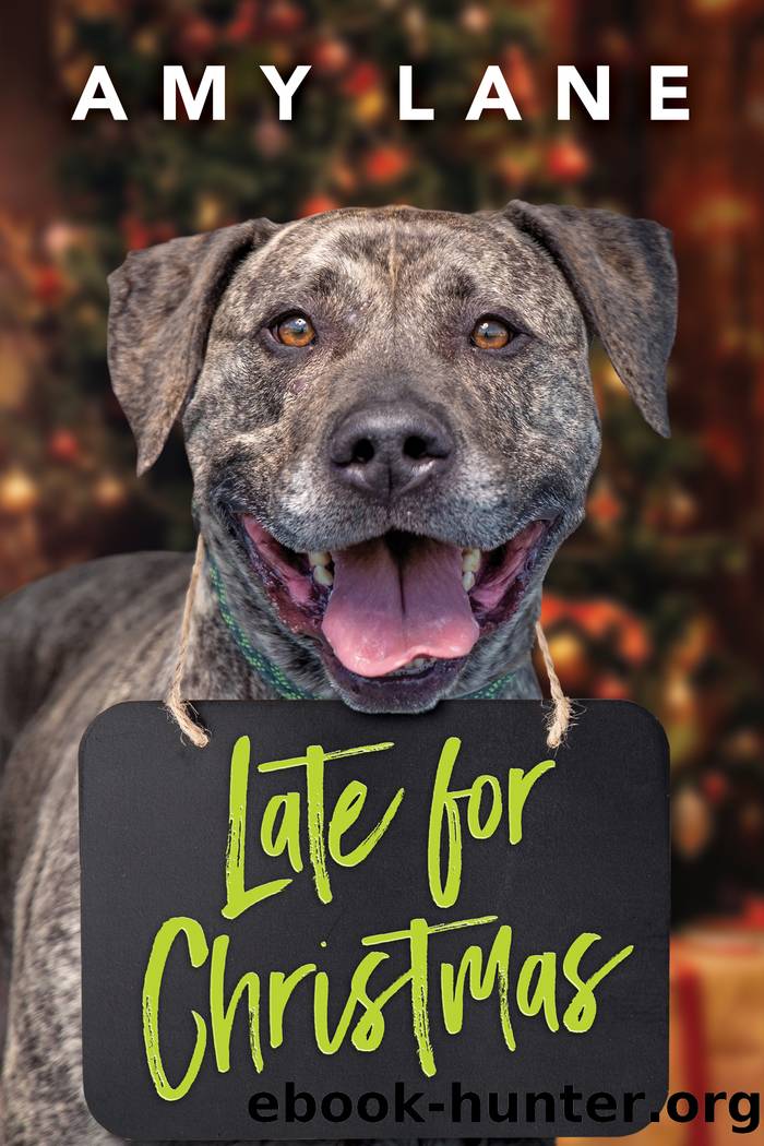 Late for Christmas by Amy Lane