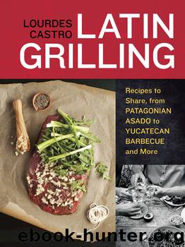 Latin Grilling by Lourdes Castro