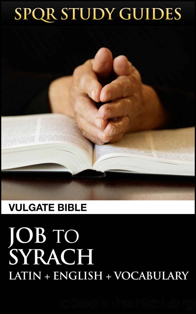 Latin Vulgate Bible: Job to Syrach (SPQR Study Guides Book 24) by St Jerome