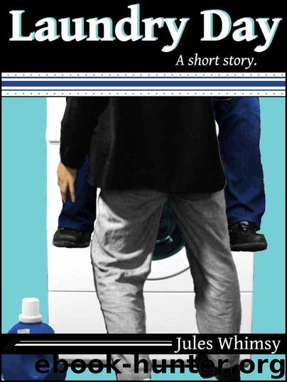 Laundry Day by Whimsy Jules